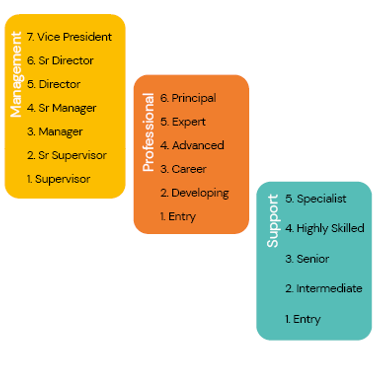 vertical career path design